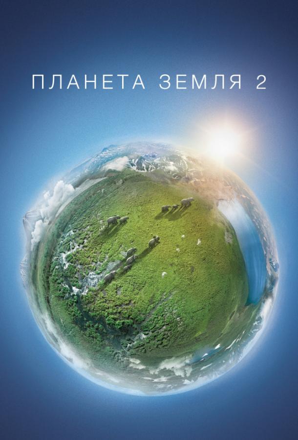 Планета Земля 2 сериал смотреть онлайн